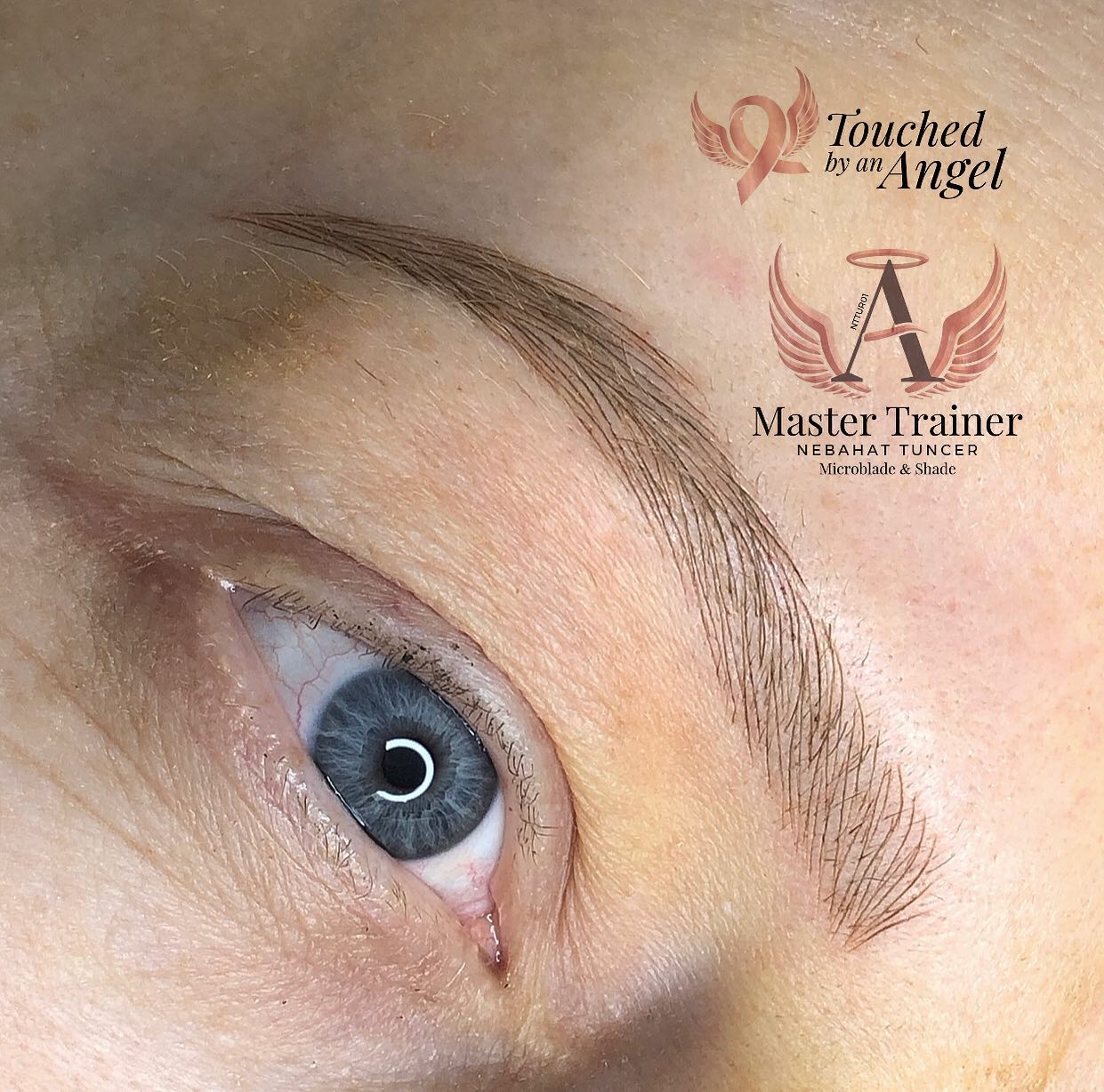 65879773_147565416426149_3419058443170189239_n 65879773_147565416426149_3419058443170189239_n